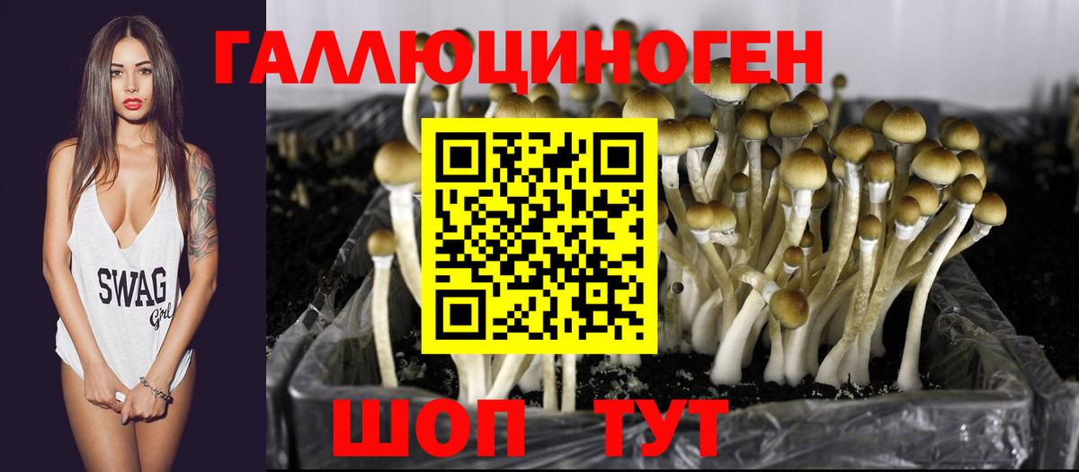 Псилоцибиновые грибы Psilocybe  Вход с VPN  Новый Уренгой 