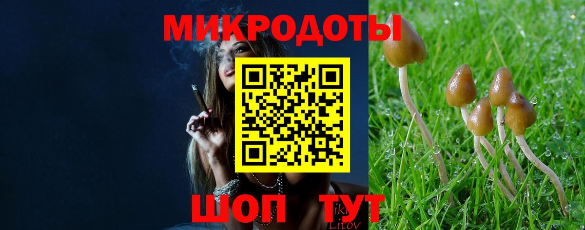 Псилоцибиновые грибы ЛСД Новый Уренгой